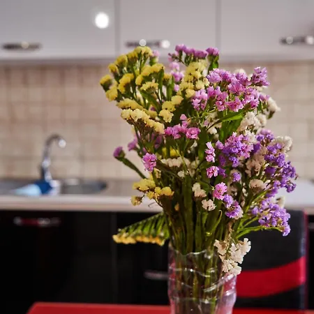 公寓 Kalpazo New Bazzar