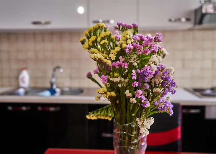 Appartement Kalpazo New Bazzar